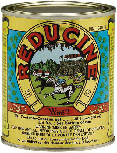 Reducine Absorbent