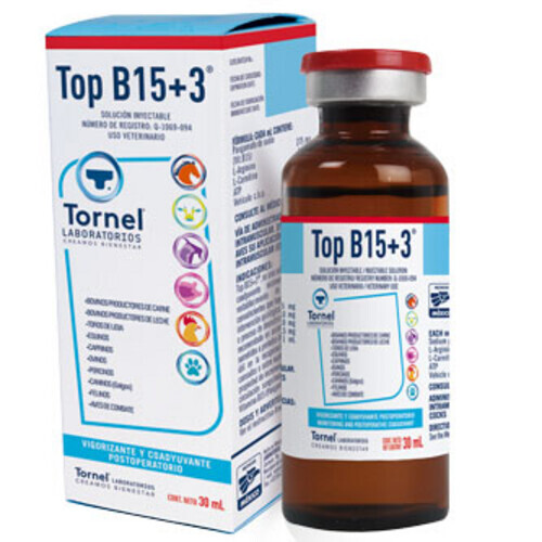 Top B 15
