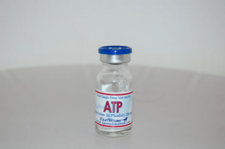 ATP+ Single dose