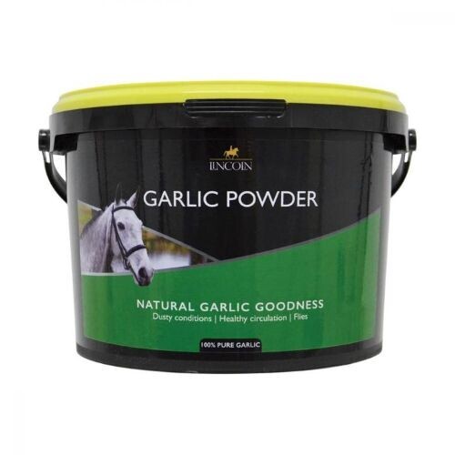 Garlic powder 1kg