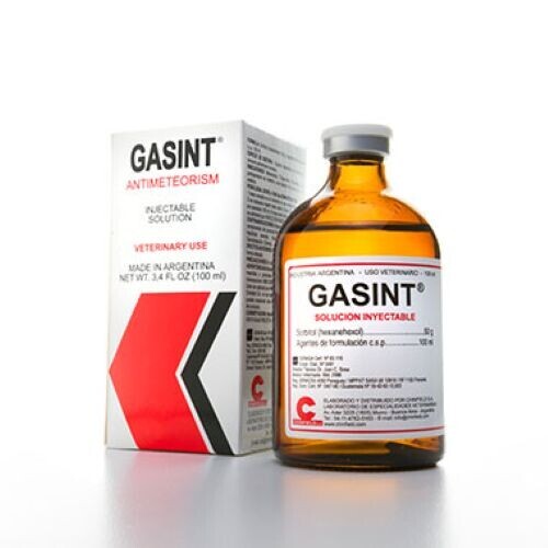Gasint