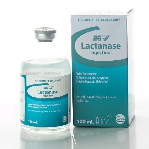 Lactanase 100ml