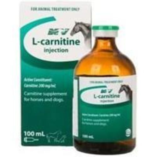 L-Carnitine 100ml