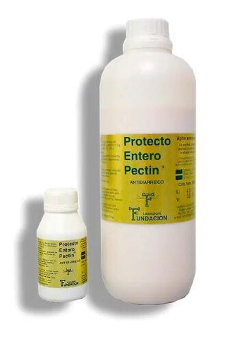 Protecto Entero Pectin 100ml