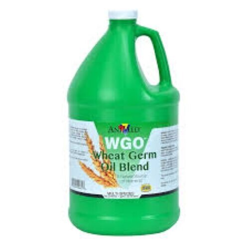 Wheat Germ Oil 3.79l