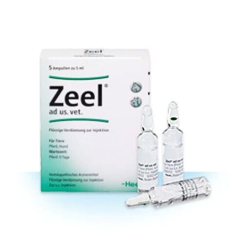 zeel Ampoule
