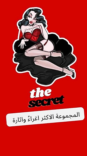 المجموعة السرية  🇺🇸🫦