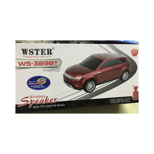 Radio and Speaker Wireless USB FM Radio Wster WS 389BT             SKU-38