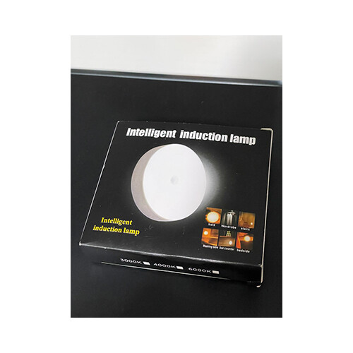 Intelligent Induction lamp 4000K             SKU-1932