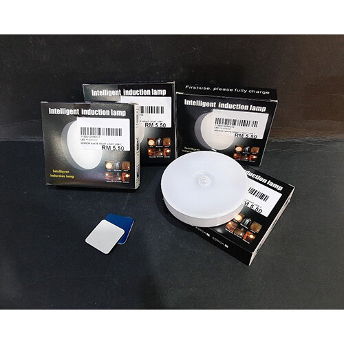 Intelligent Induction lamp 4000K             SKU-1932