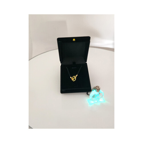 Necklace 18K Gold Branded Names Gussi - Cartier - Louis Viton             SKU-1450