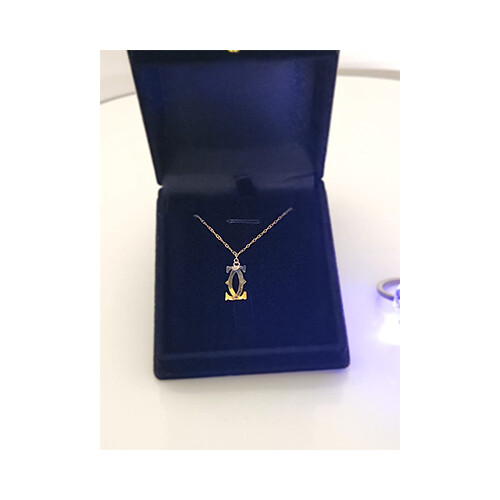 Necklace 18K Gold Branded Names Gussi - Cartier - Louis Viton             SKU-1450