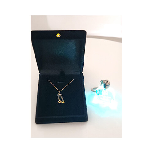 Necklace 18K Gold Branded Names Gussi - Cartier - Louis Viton             SKU-1450