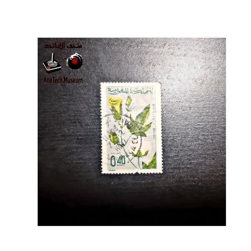 GR1117 طابع بريدي- نبتة القطن من المغرب