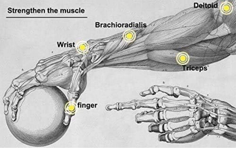 GR3241 كرة المعصم مع شاشة عرض، طراز AAOSP