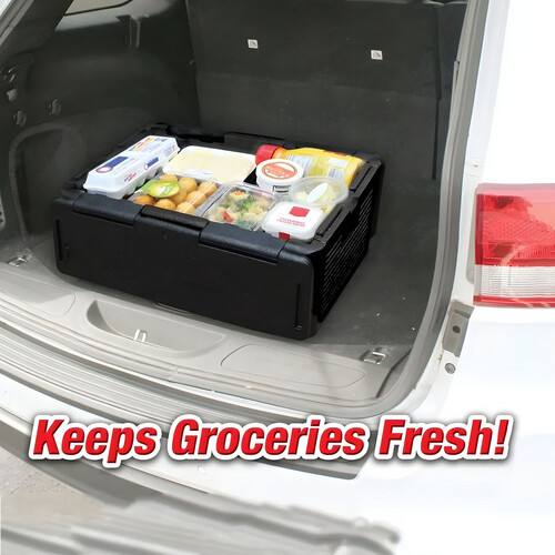 GR3251 صندوق حافظ للحرارة والبرودة يسعة حتى 60 علبة