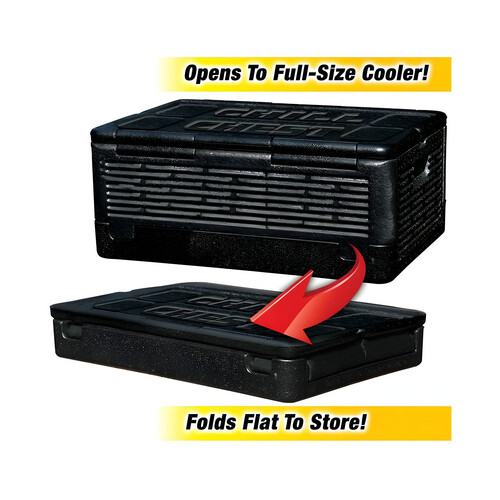 GR3251 صندوق حافظ للحرارة والبرودة يسعة حتى 60 علبة