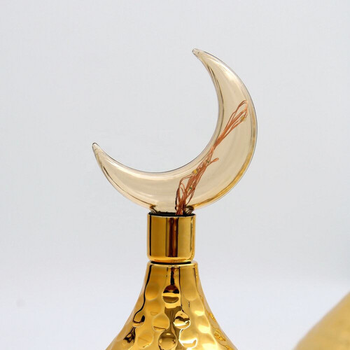 PT304 فانوس وتمرية معدنية مع إضاءة LED - حجم كبير