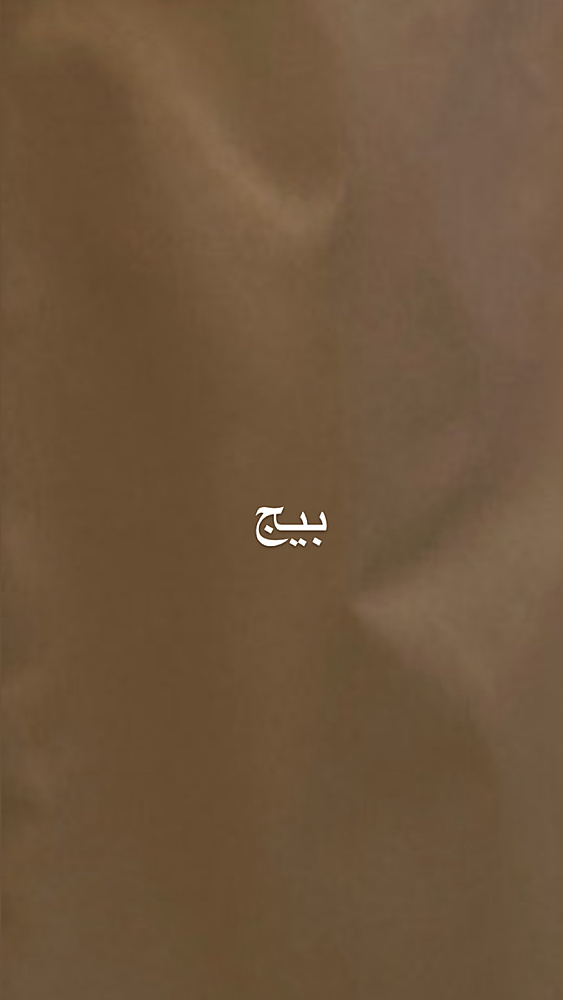 بدله الصافي المميزه 10