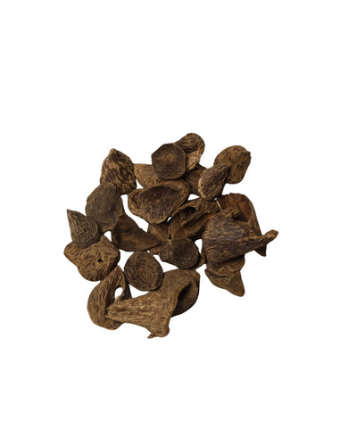 كالمنتان قواقع
