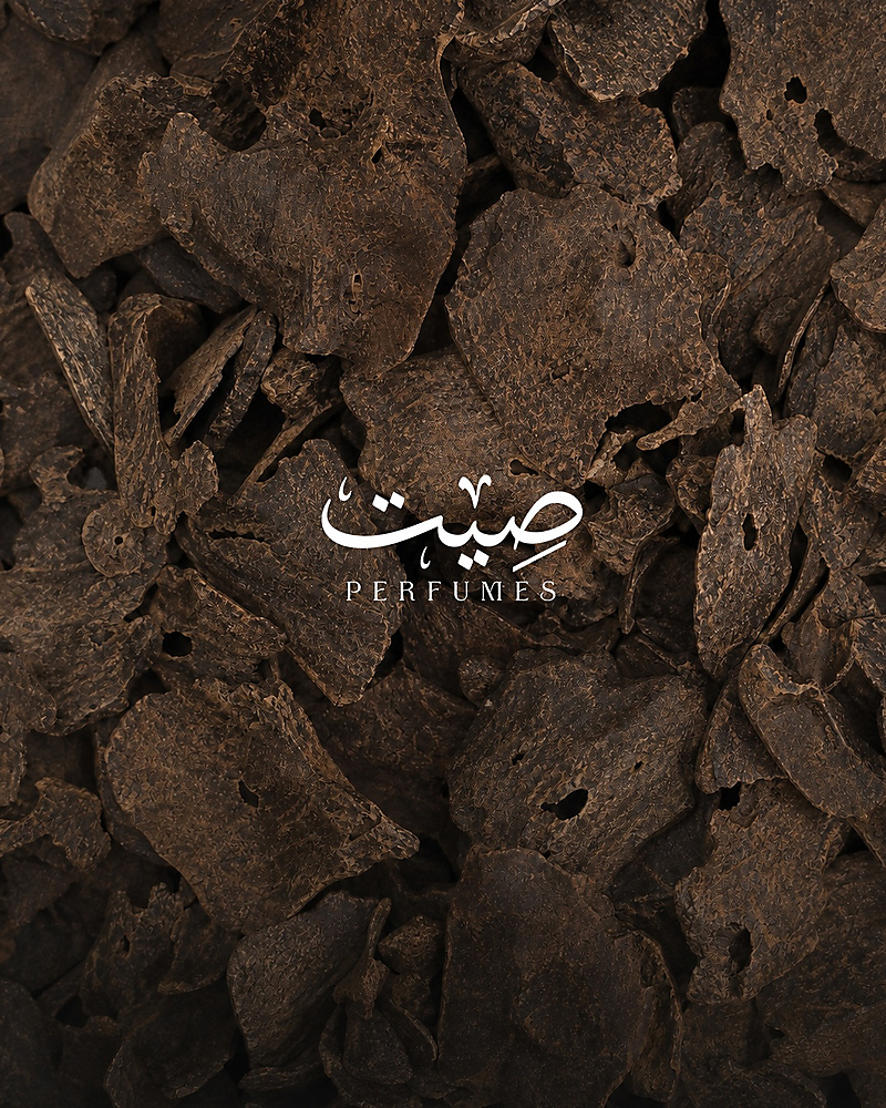 كمبودي VIP