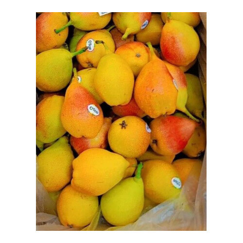 عرموط افريقي روزماري