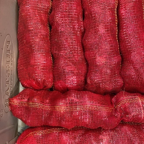 بصل احمر  شوال
