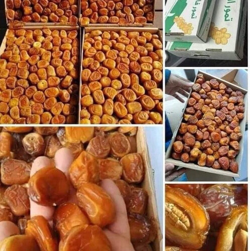 تمر سكري القصيم الوزن ٣.٧٥٠  كج تقريبا
