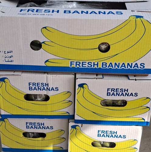 موز كرتون