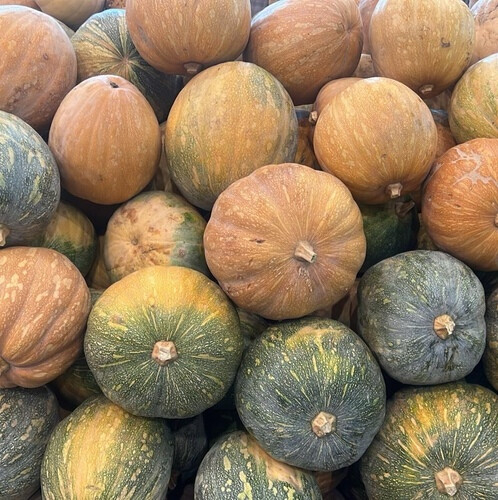 قرع حبه