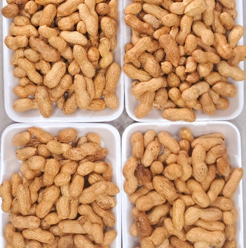 فول سوداني محمص طبق