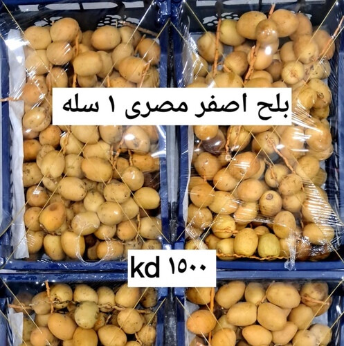 بلح اصفر مصري سله