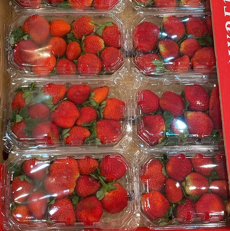 فراوله  باكت