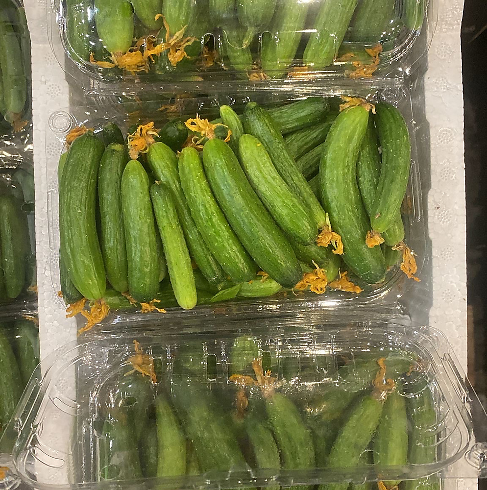 خيار بيبي   (عرض )