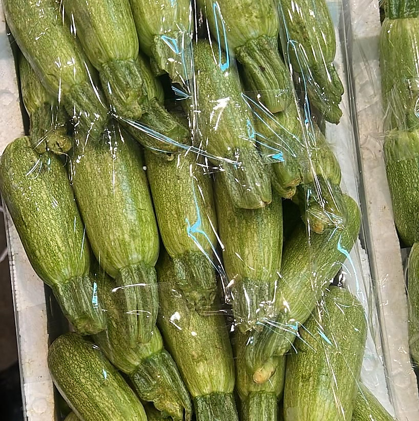 كوسا فلين كبير