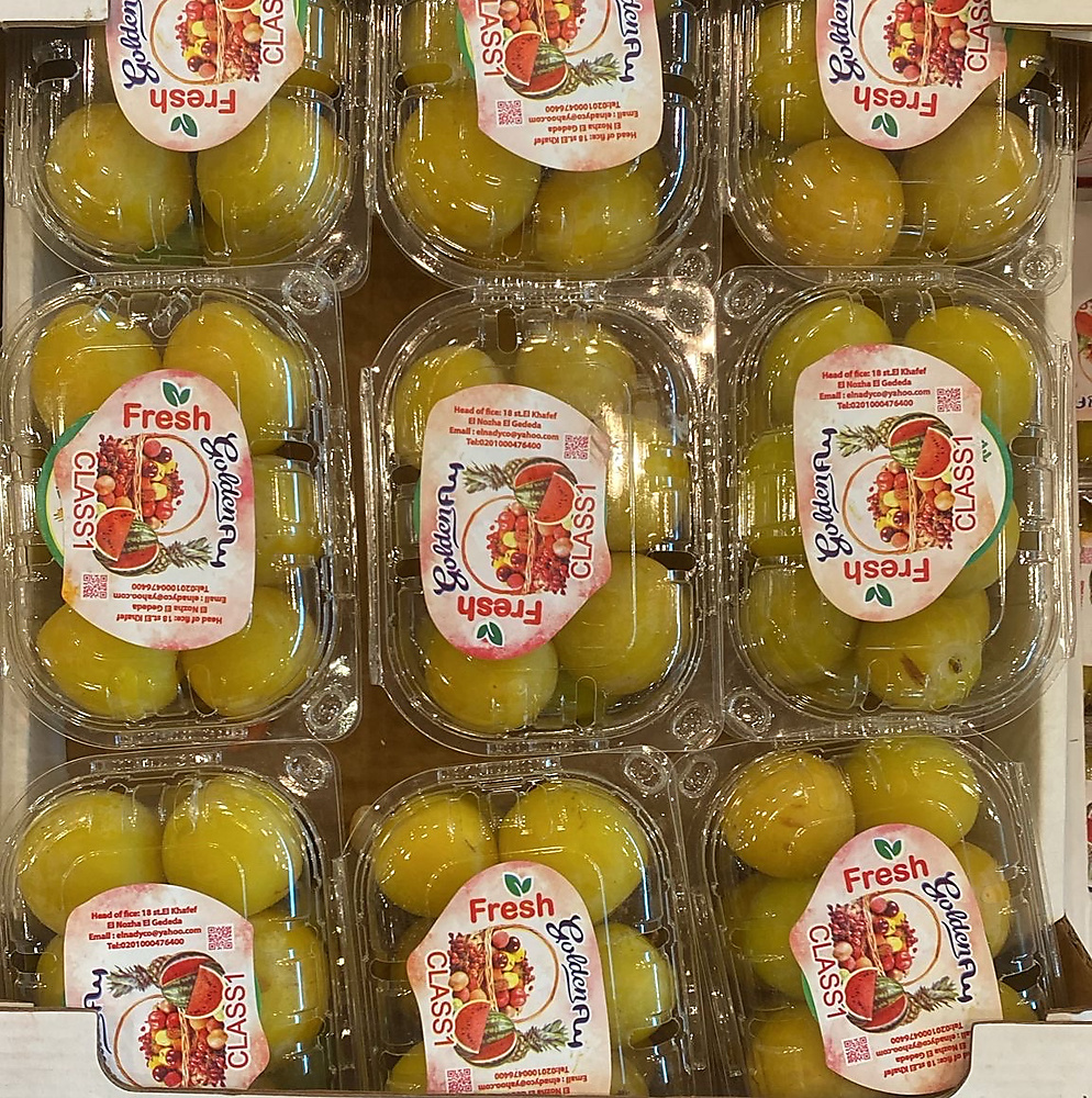 كوجا اصفر  علبه