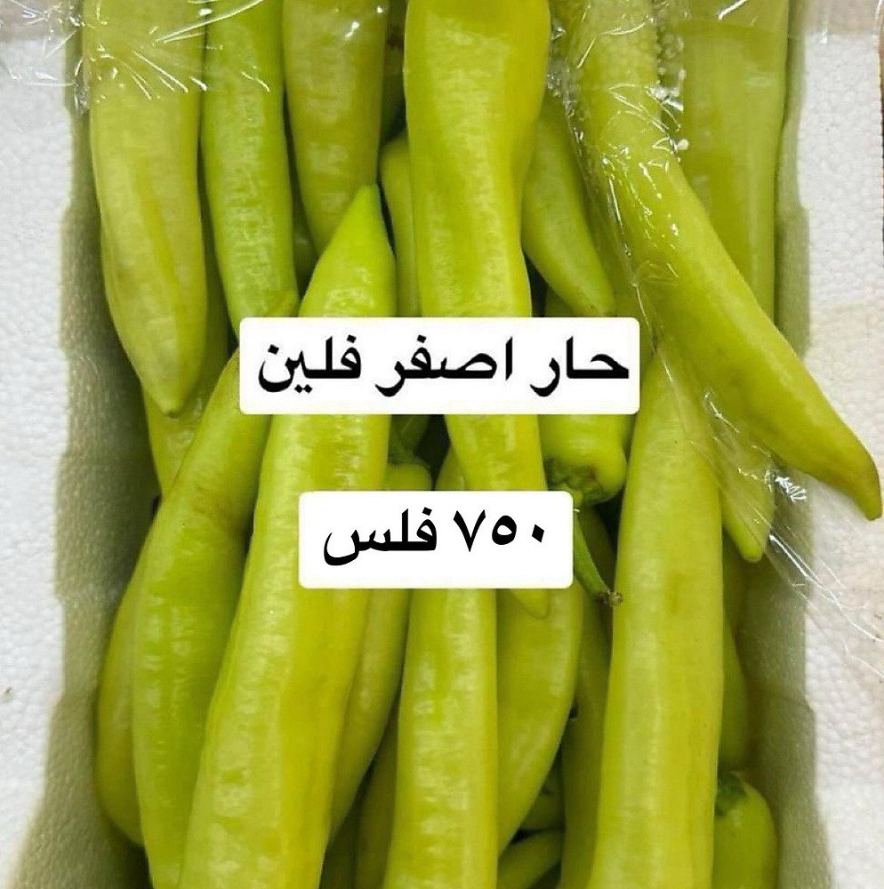 حار اصفر فلين