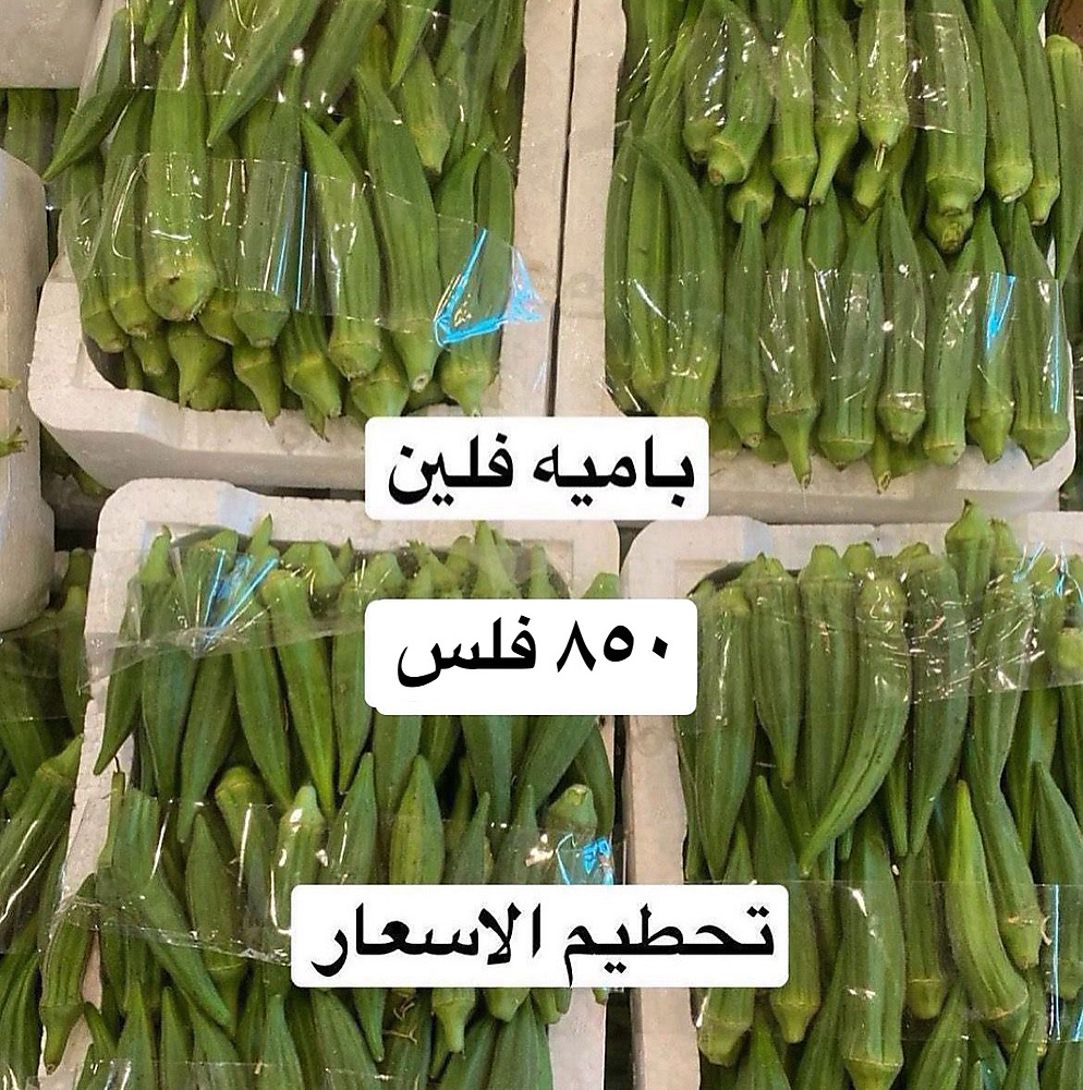 باميه فلين