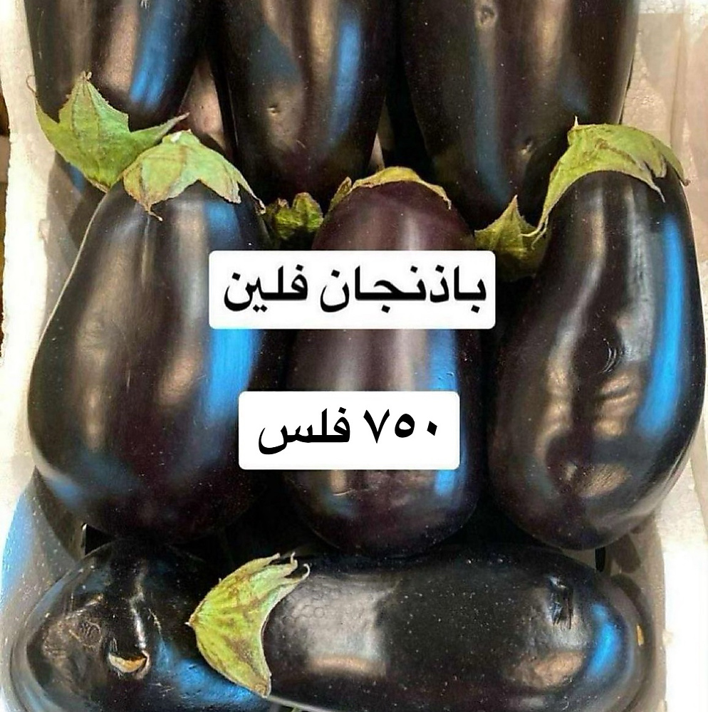 باذنجان كويتي   فلين
