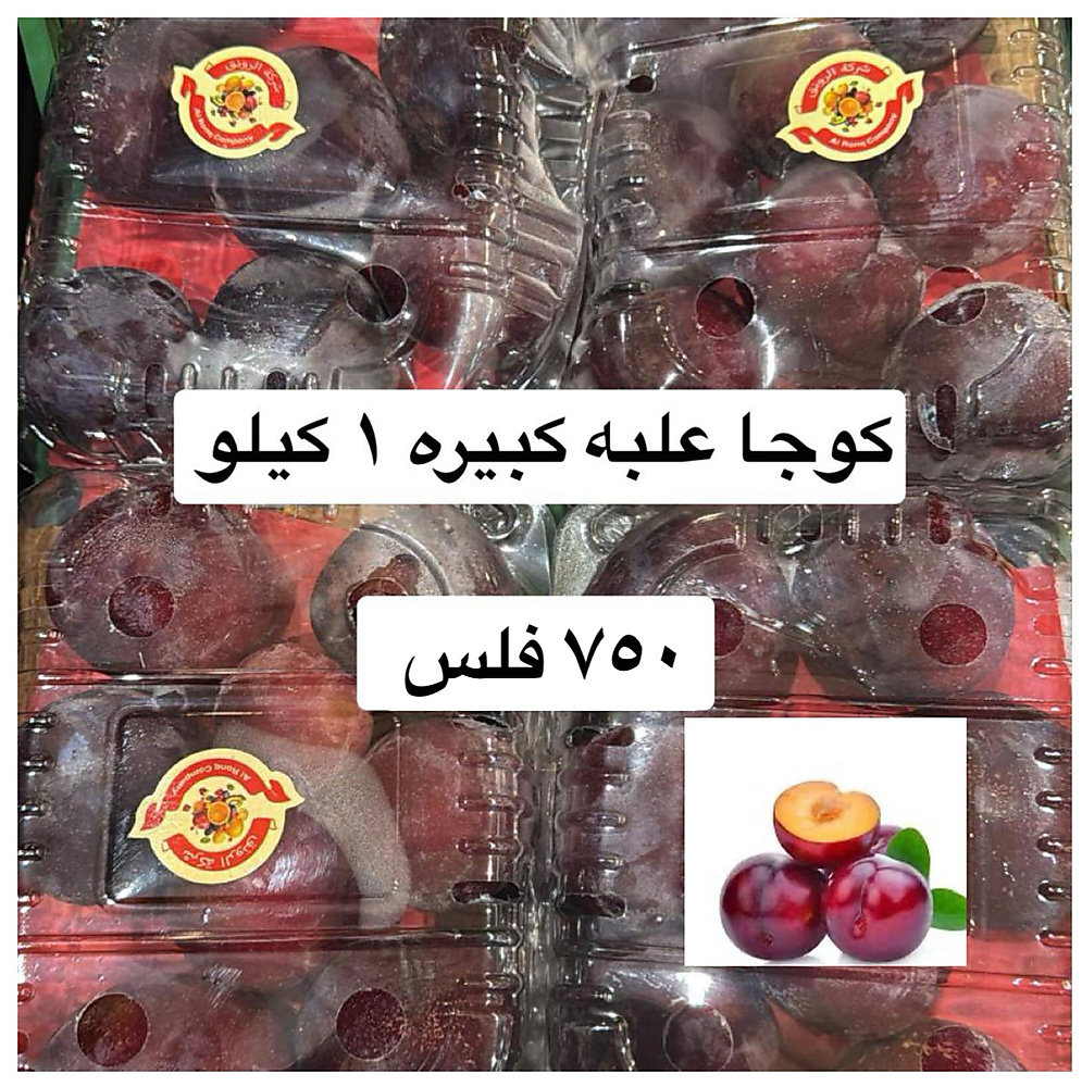 كوجا احمر  علبه ١ كيلو