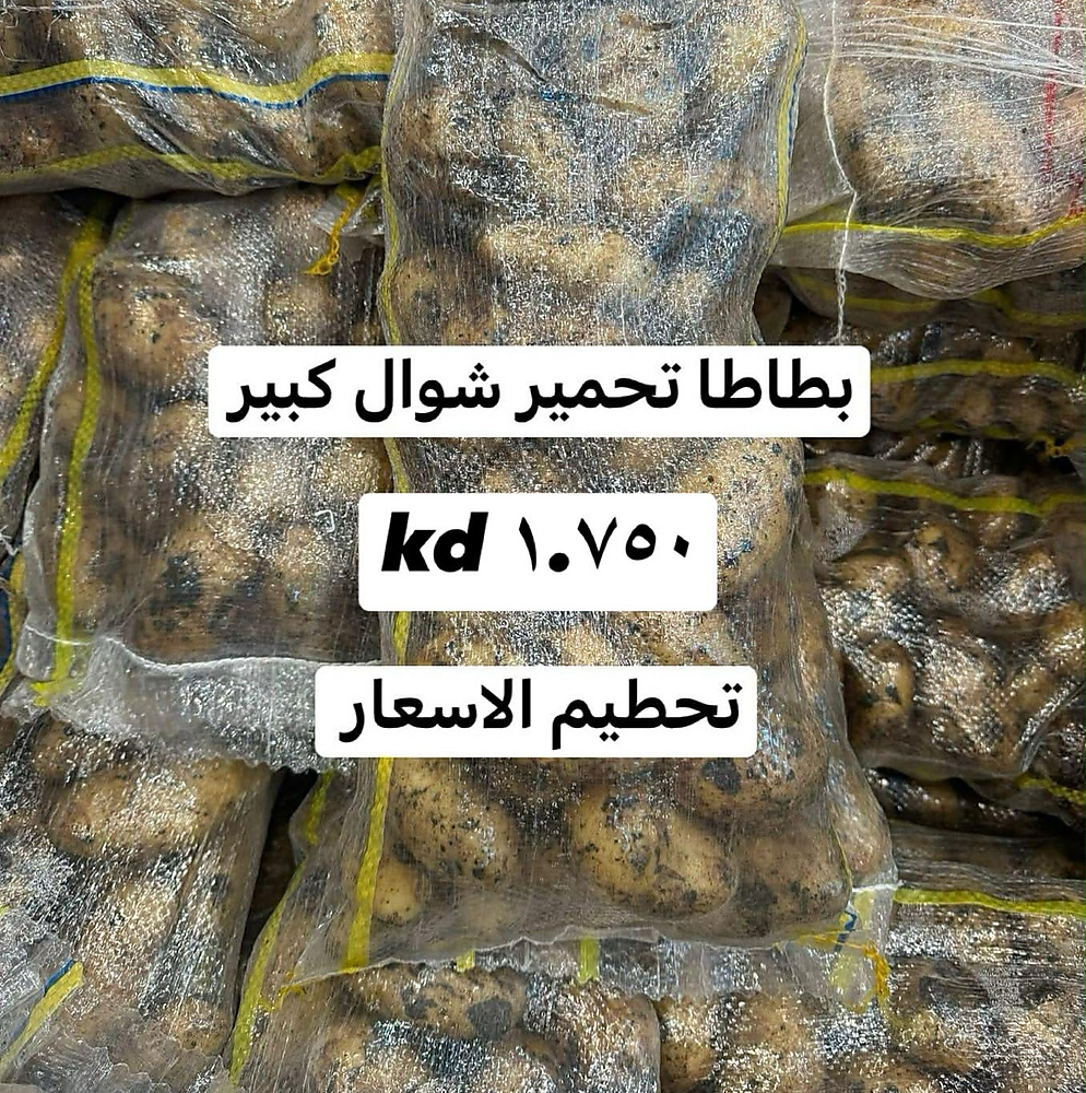 بطاطا تحمير شوال كبير