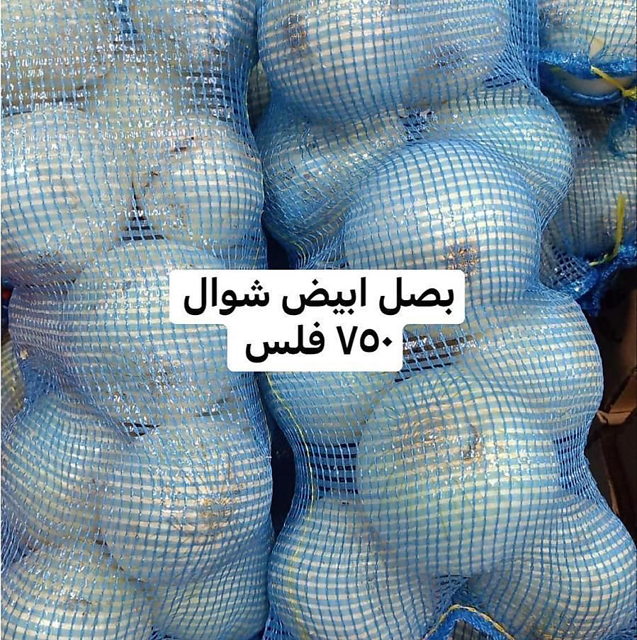 بصل ابيض  شوال
