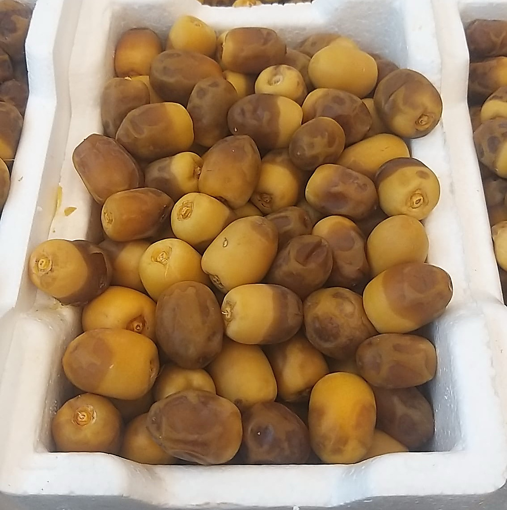 برحي فلين