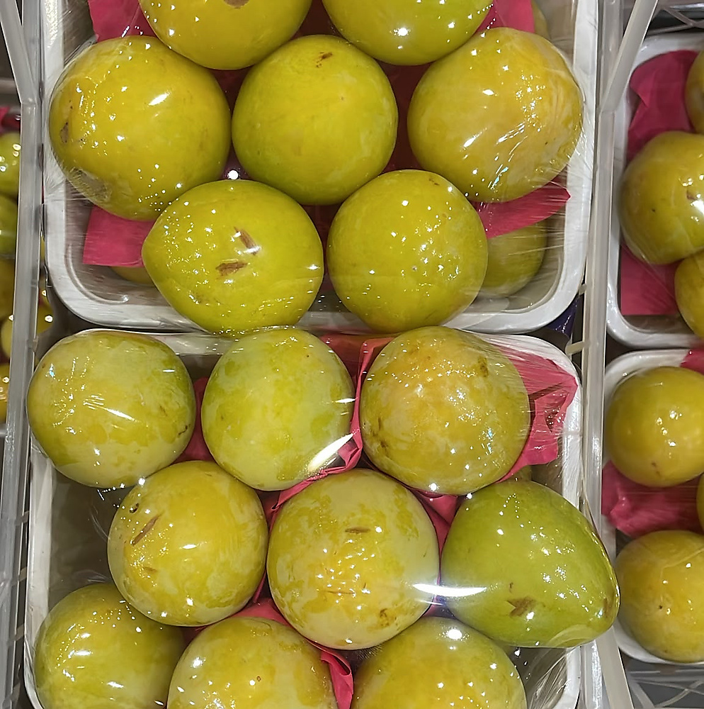 كوجا اصفر علبه