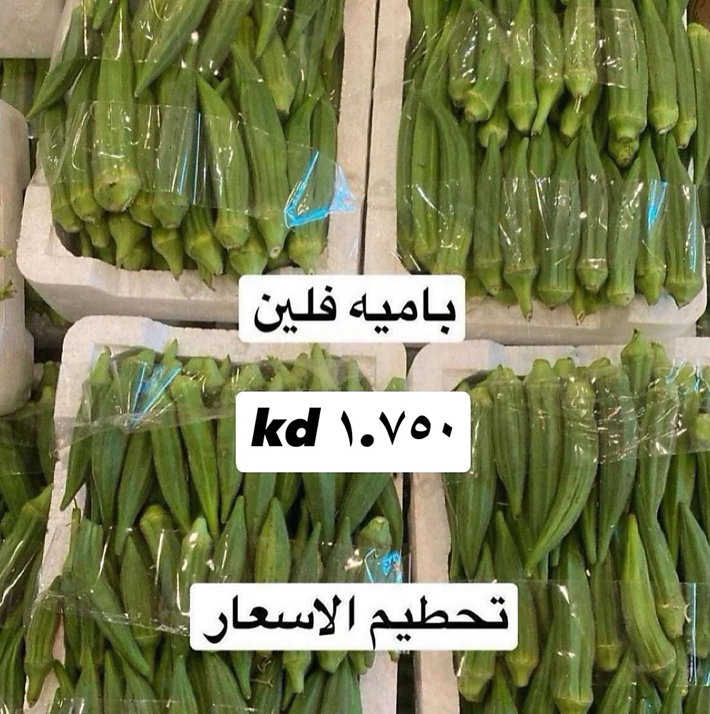 باميه فلين