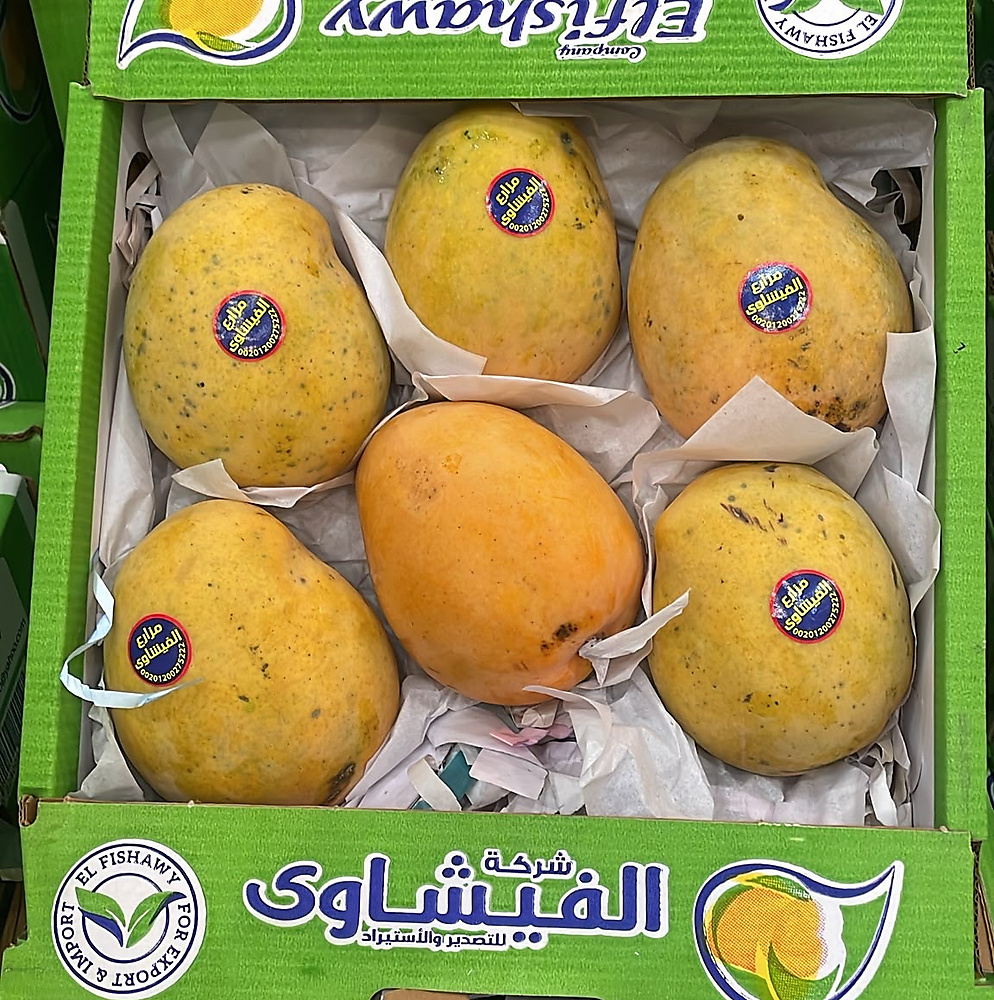 مانجو سكريه كرتون