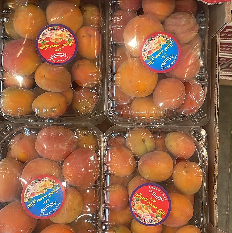 مشمش علبه ١ كيلو