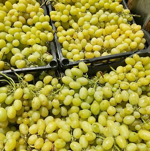 Green Grapes 1 kg