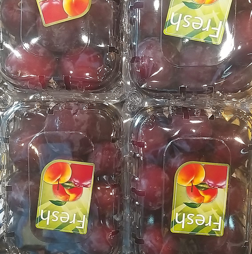 كوجا احمر  علبه كبيره