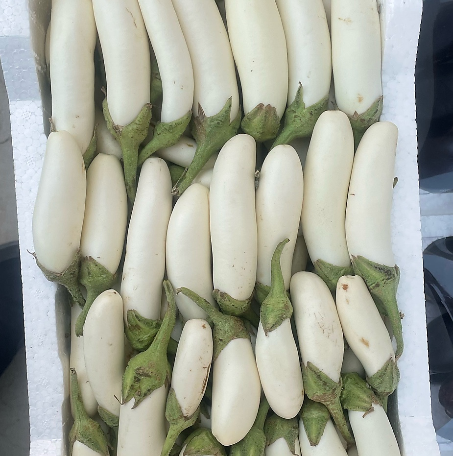White Eggplant Stuffing